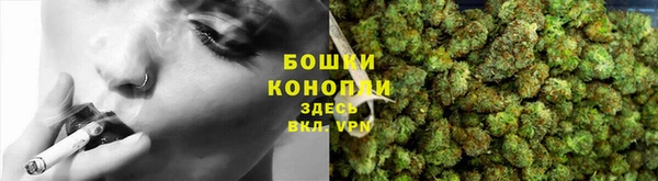mdpv Козловка
