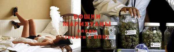 крисы Козельск