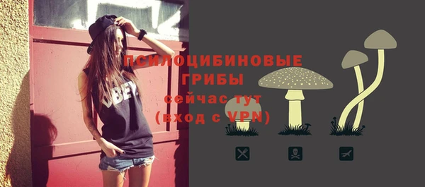 эйфоретик Кодинск
