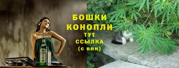 крисы Козельск