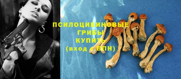 эйфоретик Кодинск