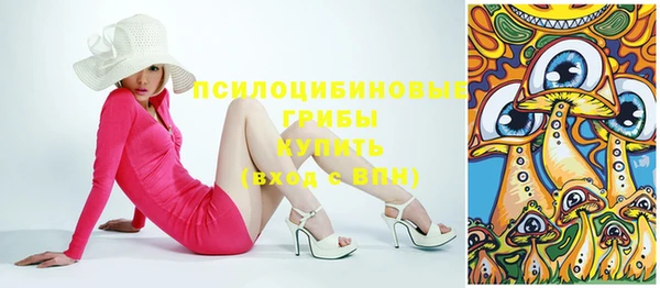 mdpv Козловка