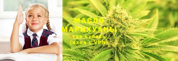 крисы Козельск