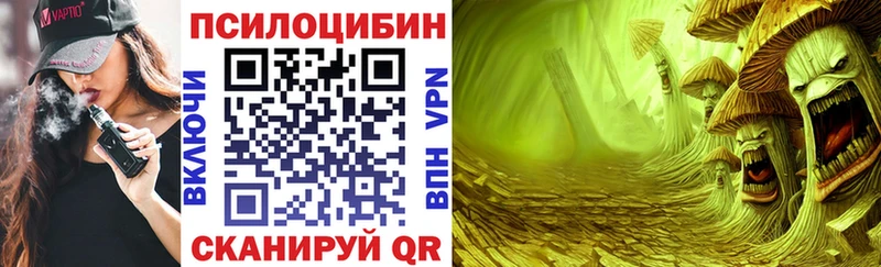 Купить закладки Кимовск Псилоцибиновые грибы GOLDEN TEACHER